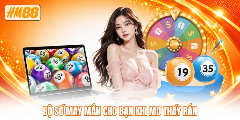 Bộ số may mắn cho bạn khi mơ thấy rắn