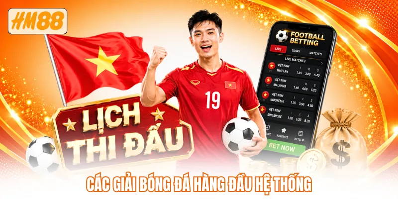 Các giải bóng đá hàng đầu hệ thống Các giải bóng đá hàng đầu hệ thống