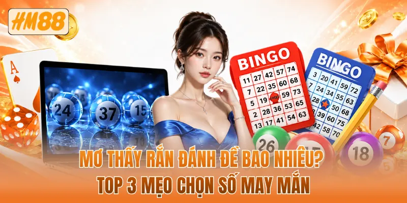 Mơ thấy rắn đánh đề bao nhiêu? Top 3 mẹo chọn số may mắn