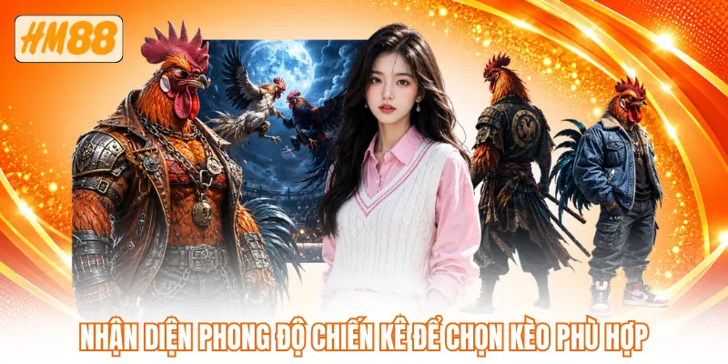 Nhận diện phong độ chiến kê để chọn kèo phù hợp Nhận diện phong độ chiến kê để chọn kèo phù hợp