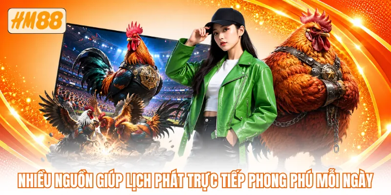 Nhiều nguồn giúp lịch phát trực tiếp phong phú mỗi ngày Nhiều nguồn giúp lịch phát trực tiếp phong phú mỗi ngày