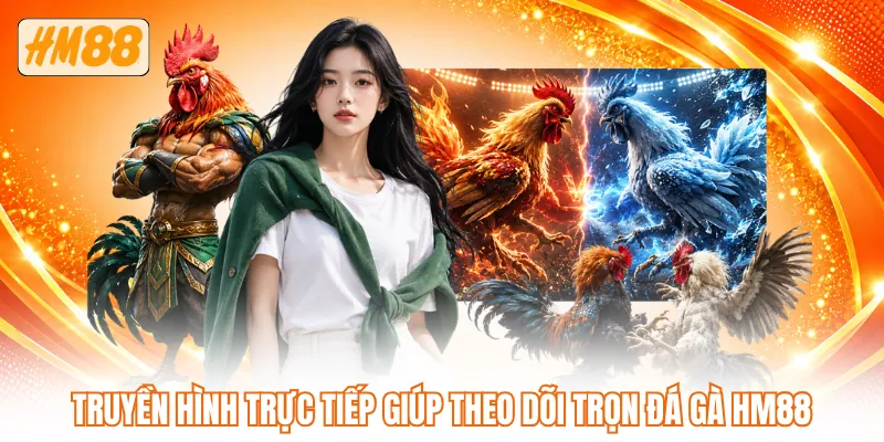 Truyền hình trực tiếp giúp theo dõi trọn đá gà HM88 Truyền hình trực tiếp giúp theo dõi trọn đá gà HM88